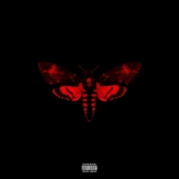 Lil Wayne feat 2 Chainz - Days And Days (I Am Not A Human Being II 2013)