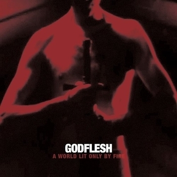 Godflesh - Life Giver Life Taker