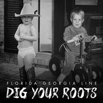 Florida Georgia Line - Life Is A Honeymoon (Featuring Ziggy Marley) (Dig Your Roots 2016)