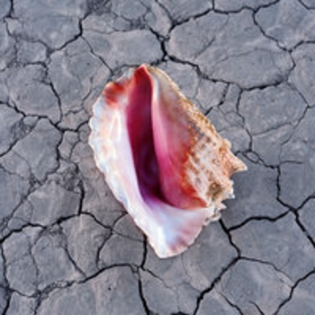 Альбом Wonderful Wonderful The Killers