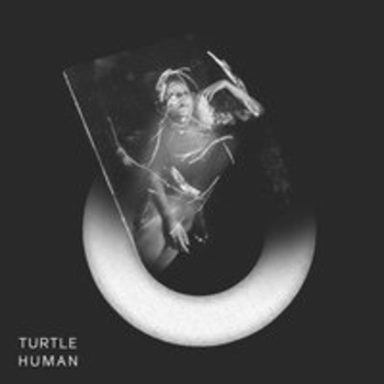 Turtle - Limbic (Human 2017)