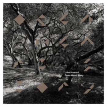 Luke Howard - Blossom (Open Heart Story 2018)