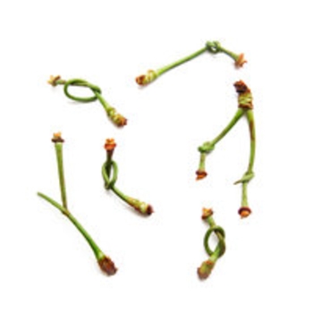 Альбом Радости страсти Обе две