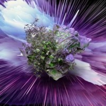 Альбом Asabur Не.Kurili