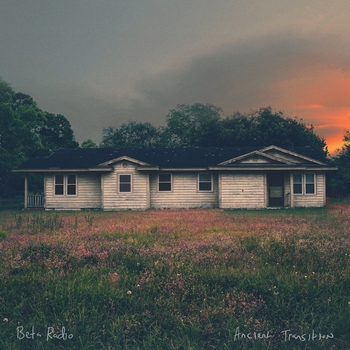 Beta Radio - Bees and Swans (Ancient Transition 2018)