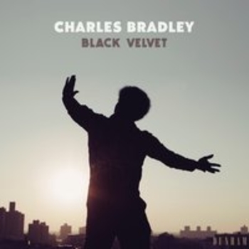 Альбом Black Velvet Charles Bradley