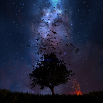 May Waves - Моя музыка