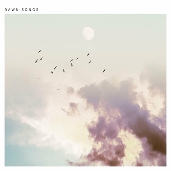 Ben Laver - Temper (Dawn Songs 2020)