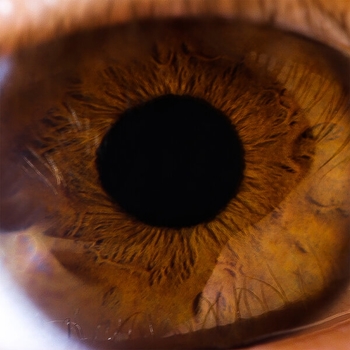 Недры - Таков путь (Выход силы 2020)