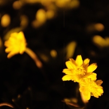 макулатура - Мокрый снег (Утопия 2020)