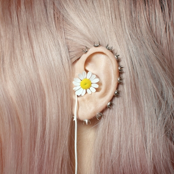 Шоколадный торт and Toli Wild - Россия не для грустных (Россия не для грустных 2020)