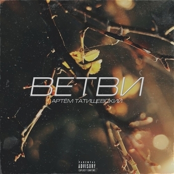 Артём Татищевский and Magicmic - Последний корабль (Ветви 2020)