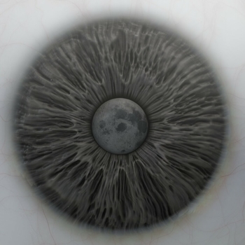 Альбом Инсомния Guerlain