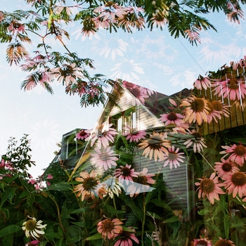 Альбом Третья жизнь Ssshhhiiittt!