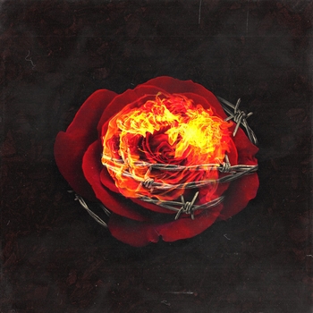 Exile - Castle (Enough 2020)