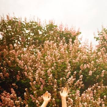 VERESK - Птицы (Всё на своих местах 2020)