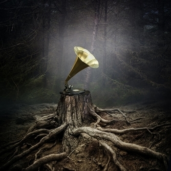 Аквариум - Месть королевы Анны