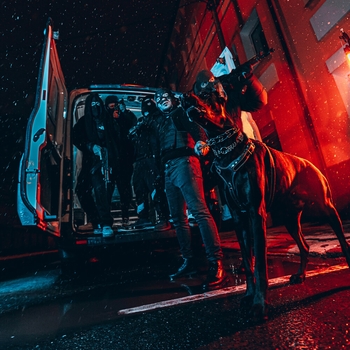 Ram - Как S1mple (Traumatix 2. 2021)