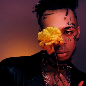 Альбом 90:60:90 Сафари