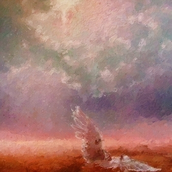 Egor Muf - Я не знаю что со мной (Ангелы умирают утром 2021)