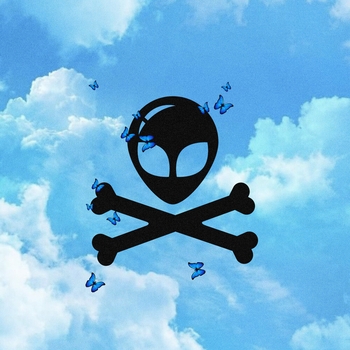 Альбом Перестрелка бабочек в районе живота Космонавтов нет