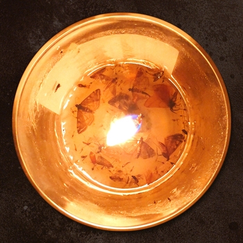 Зимавсегда - Камня на камне (Тревога и нега 2021)