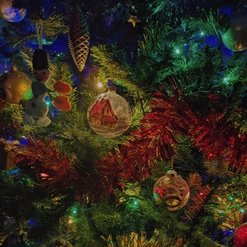 Denis Stelmakh - Fireworks