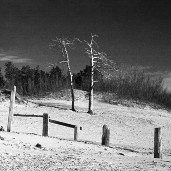 Рич feat Хадн дадн - Тонкие девушки (Русский лес 2022)