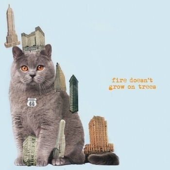 Альбом Fire Doesn't Grow On Trees The Brian Jonestown Massacre