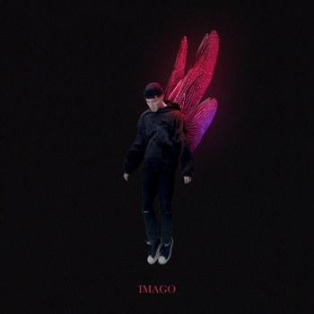 Куок - Imago