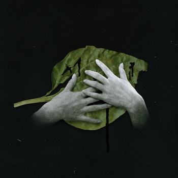 Альбом Подорожник Екатерина Яшникова