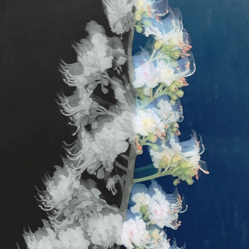 Альбом Alone Again Rauf & Faik