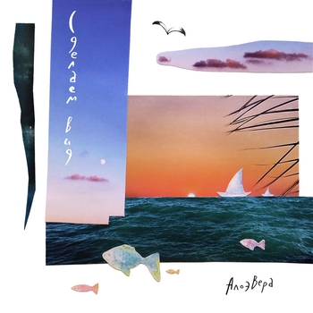 Алоэвера - Телеграм - канал