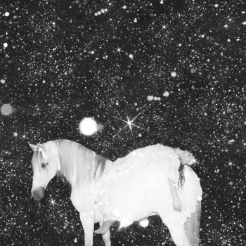 The Black Lips - No Rave (Apocalypse Love 2022)