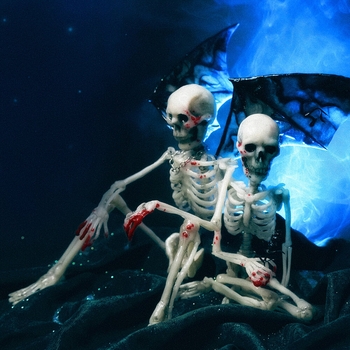 Proovy - Сожги (Цветы и кости 2023)