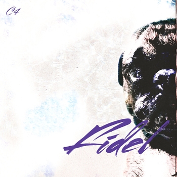 C4 - При жизни