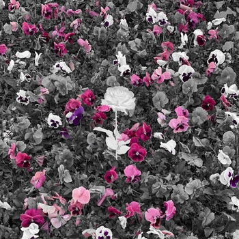 Kentukki - Загс (speed up) (Быстромедленно 2023)