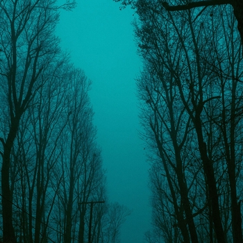 Julien Marchal and Robot Koch - Movement VII (Movements 2023)