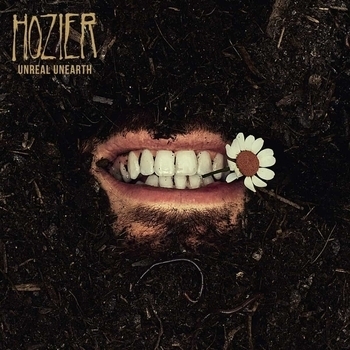 Hozier feat Brandi Carlile - Damage Gets Done
