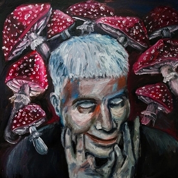 Альбом Мухоморье Metox