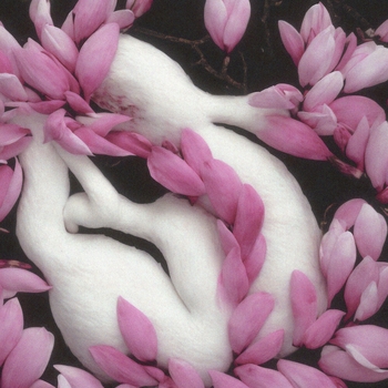 Сюзанна - Не чета