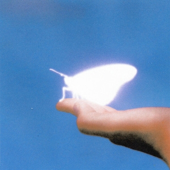 Shallou - Tonight (In Touch 2023)