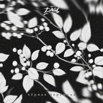 Дмц - Чёрная черёмуха (2023)