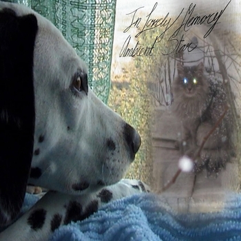 Dead Rave - Clearnet outro (In Loving Memory Ambient Star 2024)