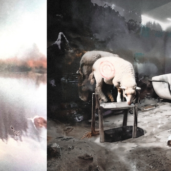 Igor - Дом (Agnus Dei 2024)