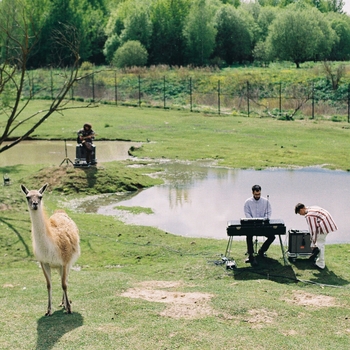 Антоха МС - Это джаз (Acoustic Version) (Summer live session (Acoustic Version) 2024)