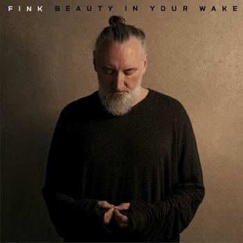 Fink - What Would You Call Yourself (Beauty In Your Wake 2024)