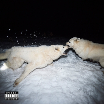 Tim Aminov - Так как мы хотим (Животное (Special Edition) 2024)