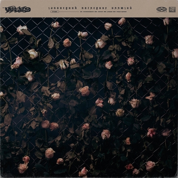 Wlvs - Рецидив (Заповедник последних иллюзий 2024)