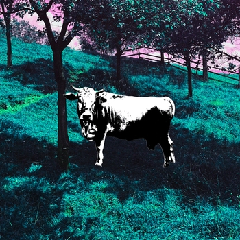 КАКАЯ РАЗНИЦА, zhanulka - крестики-нолики